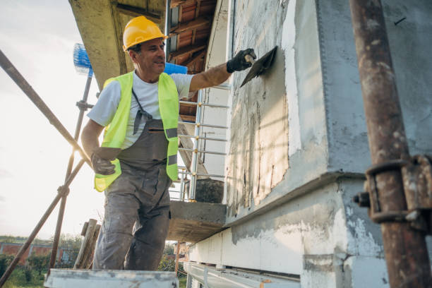 Best Insulation Removal Services  in Emeryville, CA