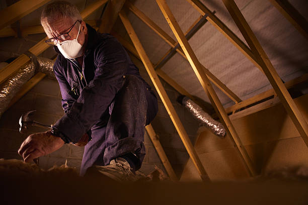 Best Fiberglass Insulation  in Emeryville, CA